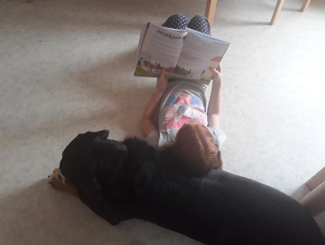 Luna  bekommt eine Geschichte vorgelesen | Foto: Tanja Kößl