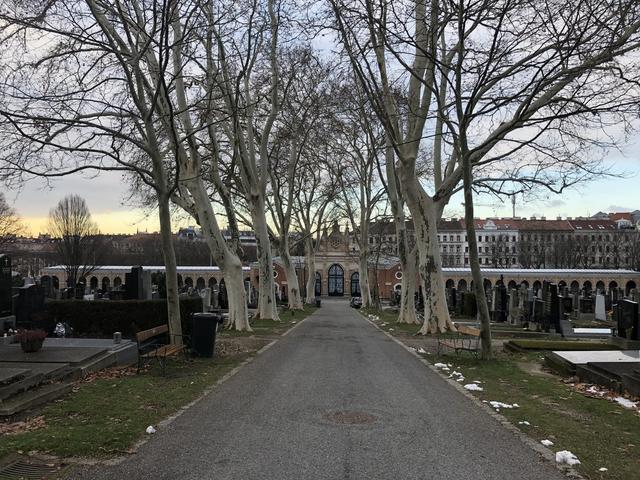 Die berühmte Autorin Christine Nöstlinger liegt am Hernalser Friedhof begraben. | Foto: Gaugl