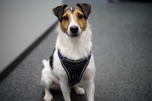 Charly | Foto: Sabine Brunner &amp; Kevin Weiß