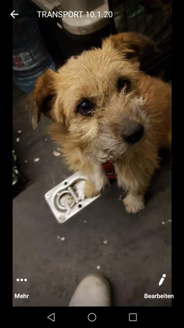 Sir Nuts | Foto: Verena Trautsamwieser