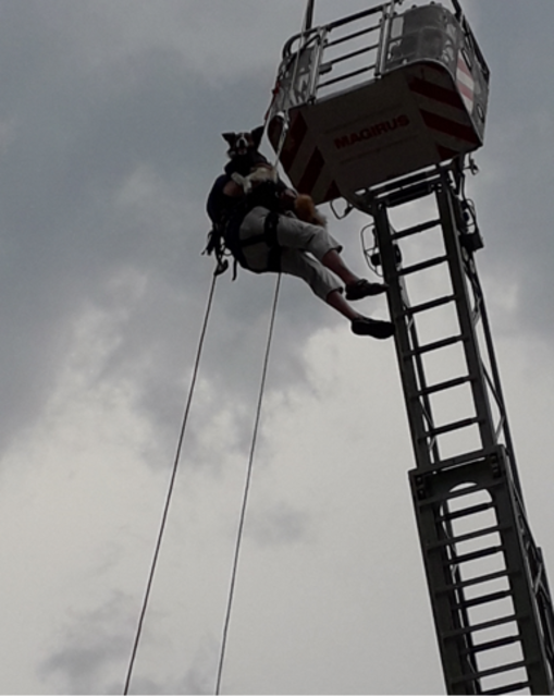 Die mutige Hündin Fly beim Abseilen | Foto: Silvia Ramberger