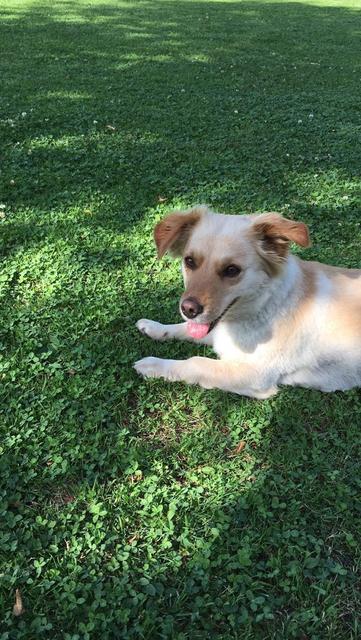 Cindy im Garten | Foto: Petra Mitter