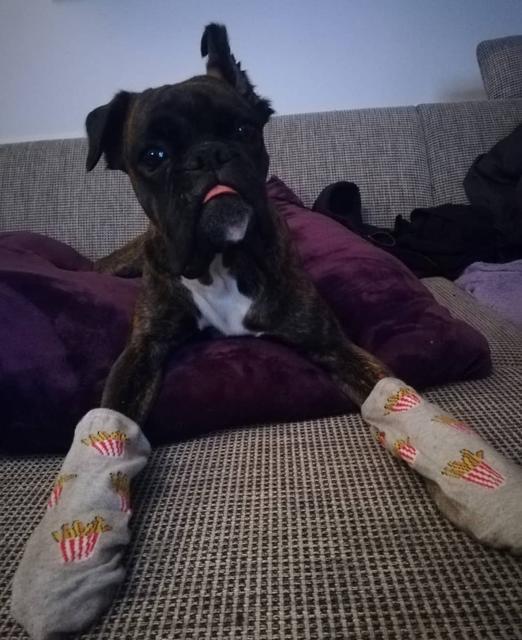 Maya mit Söckchen | Foto: Saskia Mayer