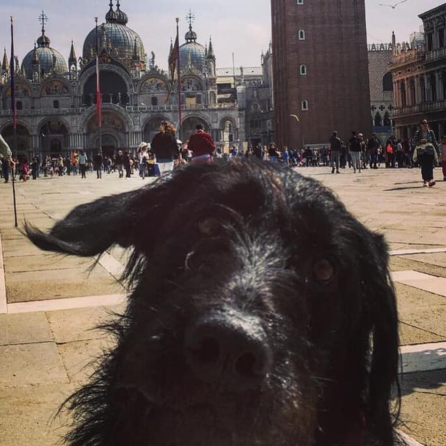 Mojito auf Reisen | Foto: Martina Vitera