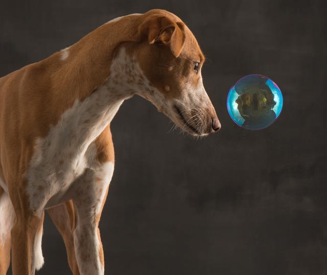 Noah bei einem Fotoshooting | Foto: © Paul Croes