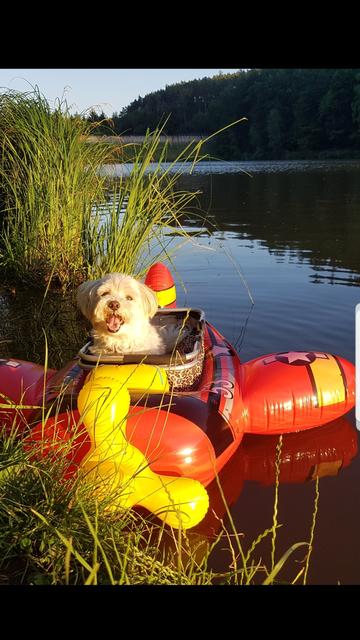 Die kleine Bella beim Badeausflug | Foto: Martina Singer