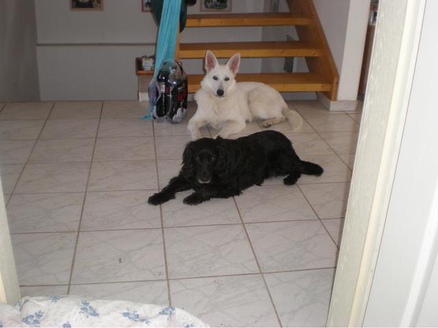 Sindy &amp; Shila | Foto: Gabriele Struck