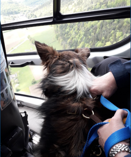 Fly bei einem Hubschrauberflu | Foto: Silvia Ramberger