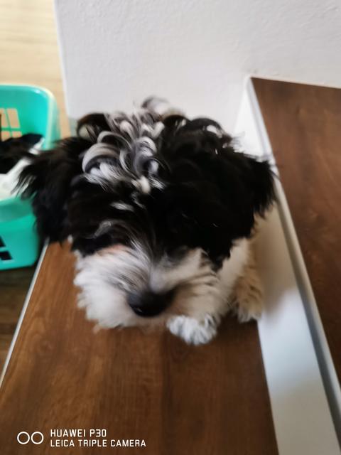 Bounty auf den Stiegen | Foto: Nicole Ondrovics