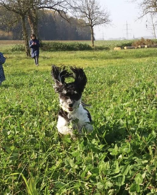 Die 4 Jahre alte Luna | Foto: Silvia Koch