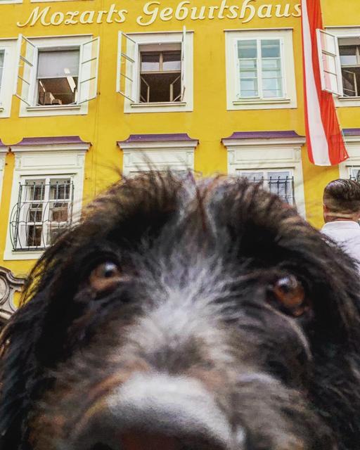 Mojito vor Mozarts Geburtshaus | Foto: Martina Vitera