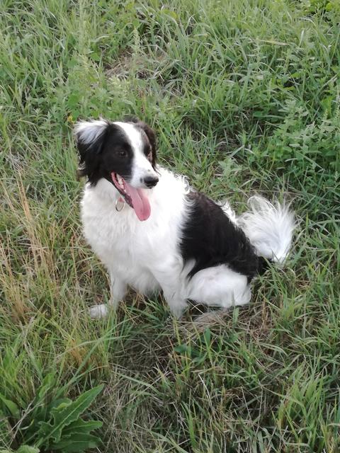 Die kleine Tini | Foto: Anita Goyer