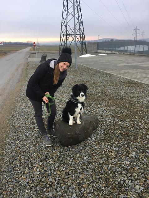 Bella beim Spazieren | Foto: Gabriela Baumgartner-Wöber