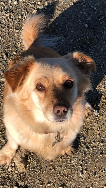 Cindy  | Foto: Petra Mitter