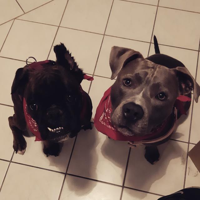 Die beiden süßen Mädels Nina &amp; Maya | Foto: Saskia Mayer