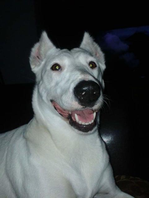 Sola ganz fröhlich  | Foto: Carola Buxbaum