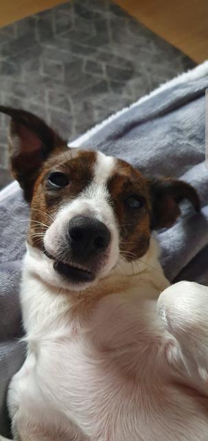 Der kleine Timmy | Foto: Vanessa Sosna