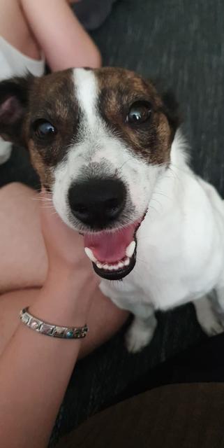 Timmy beim Kuscheln mit seinem Frauchen | Foto: Vanessa Sosna