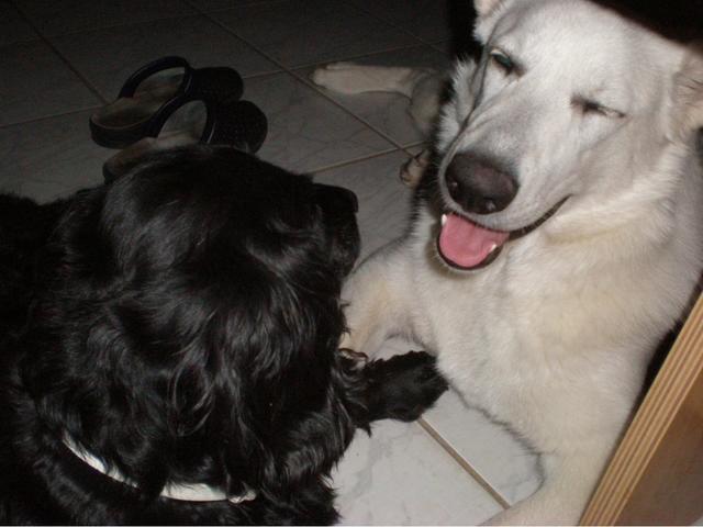 Sindy &amp; Shila | Foto: Gabriele Struck