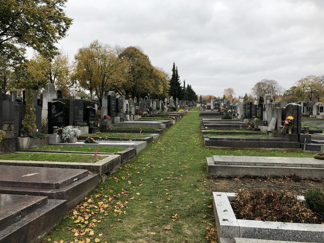 Literatin Christine Bustal iegt auf dem Ottakringer Friedhof begraben. | Foto: mjp