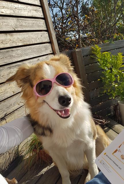 Enya im Sommer ganz cool mit Sonnenbrille | Foto: Doris Kniewallner