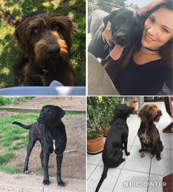 Strolch &amp; Aika mit Frauchen | Foto: Nina Biedermann