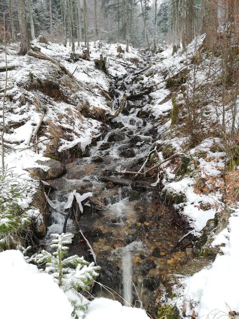 Ein Bach ist im Winter einfach schön 