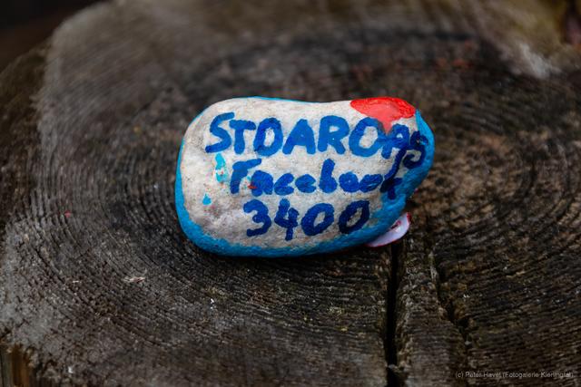 STOAROAS Facebook 3400 beim Uferhaus in Klosterneuburg