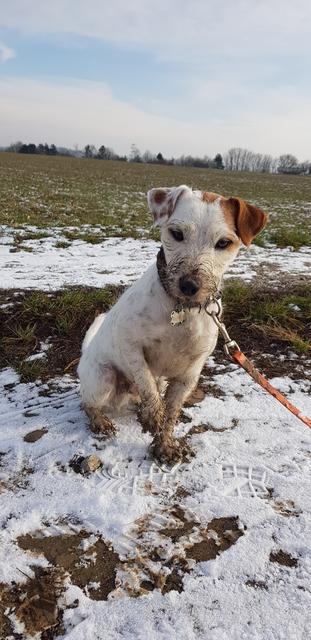 Der kleine "Dreckspatz" Barney  | Foto: Harley Feuerstein
