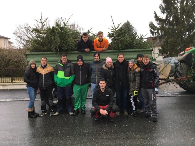 Die Jugend Schachendorf-Dürnbach sammelte gemeinsam mit fleißigen Helfern, darunter Bgm. Robert Marlovits, die Christbäume ein | Foto: Jugend Schachendorf-Dürnbach