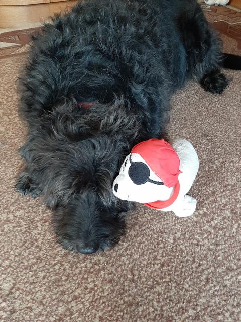 Rosi mit ihrem Kuschel-Piraten | Foto: Marianne Riedmann