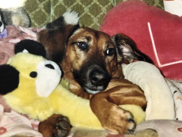 Susi beim Kuscheln mit ihren Stofftieren | Foto: Gilbert Stoffela