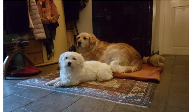 Mali mit ihrem Freund | Foto: Hannelore Liess