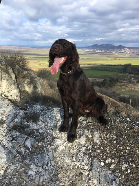 Chili bei einer Wanderung | Foto: Christina Studeny