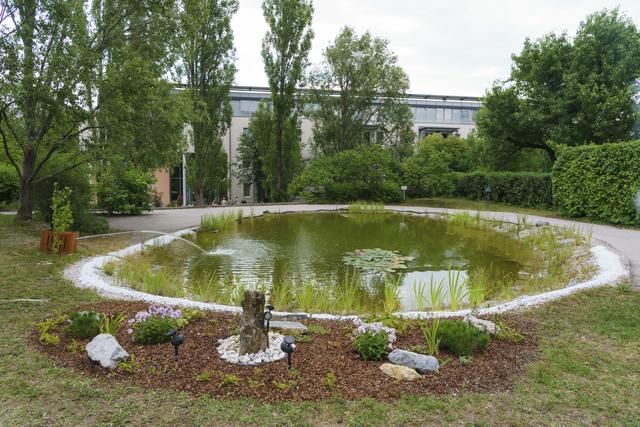 Das Teich - Wohlfühlplatzerl im Residenzgarten ist für das Schulkolleginnen-Trio ein begehrter Treffpunkt zum gemütlichen Plaudern.