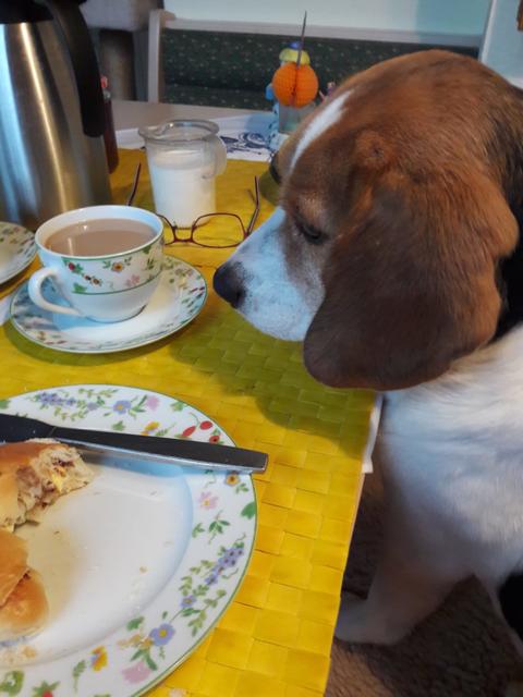 "Frühstücken mit Basti" | Foto: Gertraud Geißele
