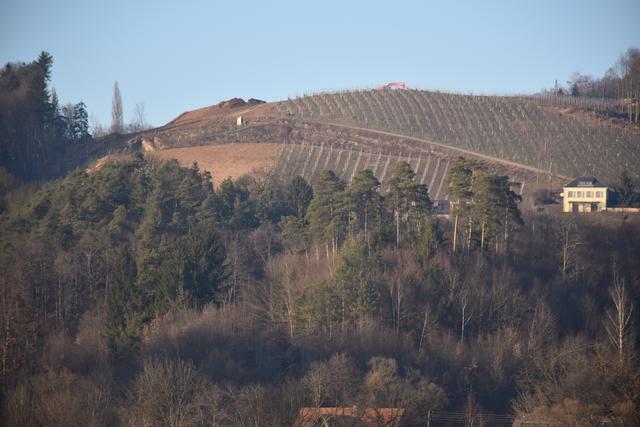 Am Kittenberg laufen die Arbeiten für die Errichtung eines neuen Weingartens.