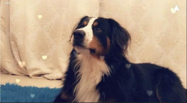 Der "kleine" Jimi mit Herzchen-Filter | Foto: Natascha Bachner