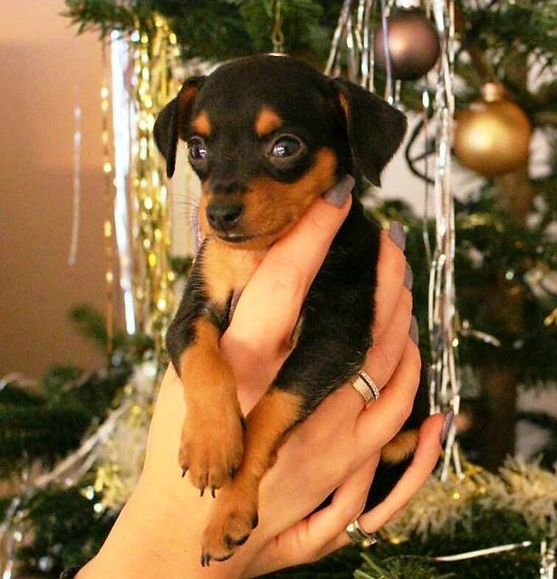 "Eine Hand voll Cheesy" | Foto: Irina Hausensteiner