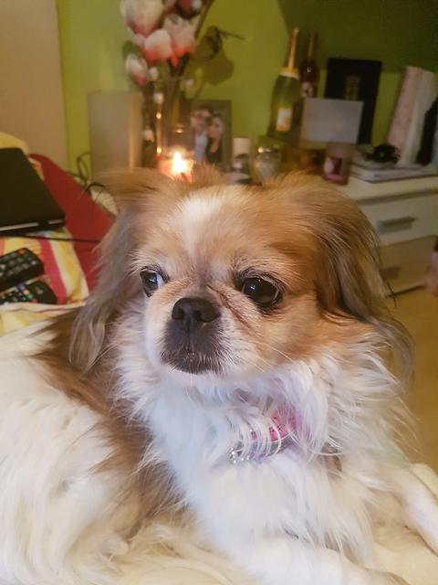 Die kleine Kira ganz nachdenklich | Foto: Angela Demuth-Golosetti