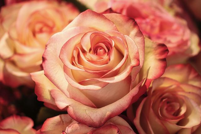Es müssen nicht immer Rosen oder Pralinen als Geschenk am Valentinstag herhalten. Erfreuen Sie Ihren Partner heuer mit einem kulinarischen Präsent im romantischen Ambiente.