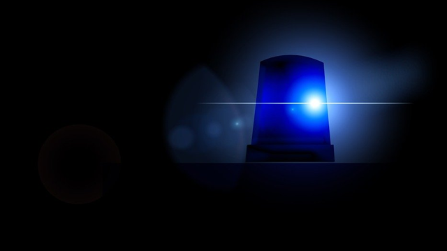 Die Polizei führte in Kärnten eine Schwerpunktkontrolle gegen Alkohol und Drogen hinter dem Steuer durch. | Foto: pixabay - Symbolphoto
