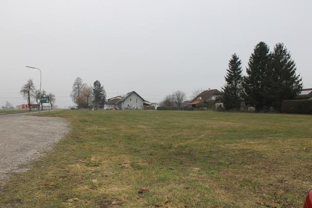 Auf der Wiese neben dem Gasthof Berger in St. Peter soll das Hotel in Kürze entstehen.  | Foto: Bernbacher