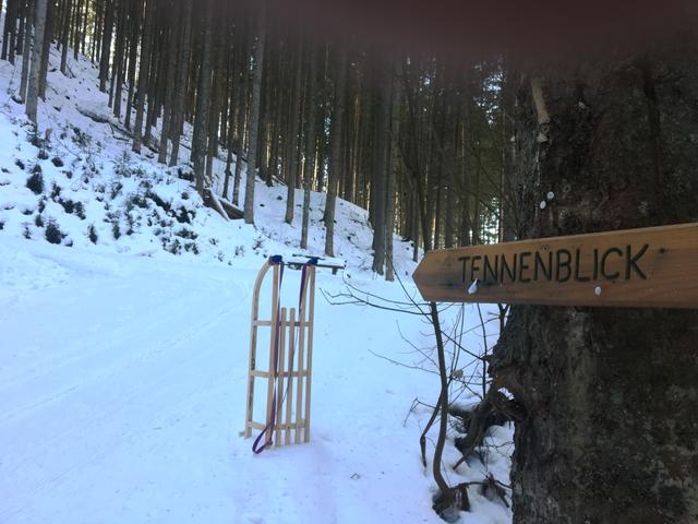 Beim Gasthof Tennenblick in Werfenweng wird eine 1 km "kurze" Rodelbahn geboten. Die Benutzung ist kostenfrei und Schlitten können um zwei Euro beim Gasthof geliehen werden. Zu Fuß ist man vom Werfenwenger Ortszentrum schnell bei der Bahn.
