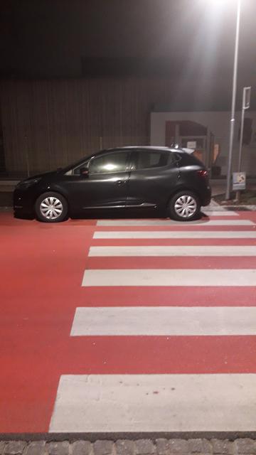 Kunstparker beim Lions Dome in Traiskirchen
