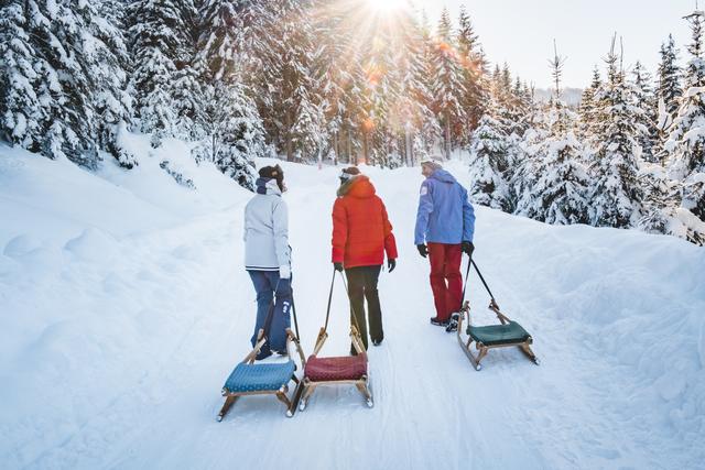 Die Sonnalm Rodelbahn in Zauchensee hat eine Länge von 3,1 km und ist zu Fuß über den Strimsalmweg oder mit dem Tauernkarsessellift erreichbar. Schlitten werden bei der Sonnalm um vier Euro verliehen. Die Benutzung der Bahn ist gratis. Die Alm hat von 9:15 bis 17:30 Uhr geöffnet.