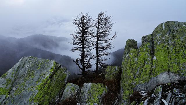 Foto: © S.Plischek