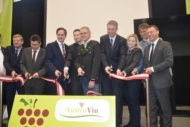 Foto: Paulina Müller