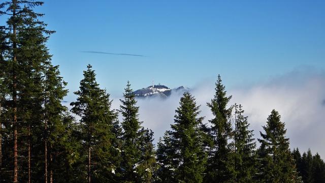 Der Sonnwendstein ragt malerisch aus den Wolken! ... | Foto: © S.Plischek