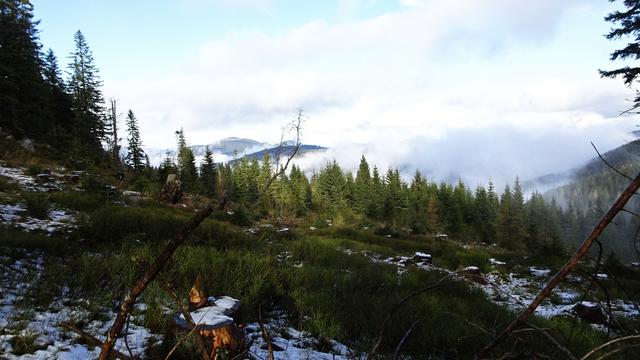 Während der Wanderung zeigt sich immer wieder ein schöner Ausblick, wenn auch diesmal etwas wolkenverhangen! ... | Foto: © S.Plischek
